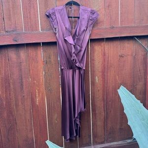Purple Silk SIR Dress